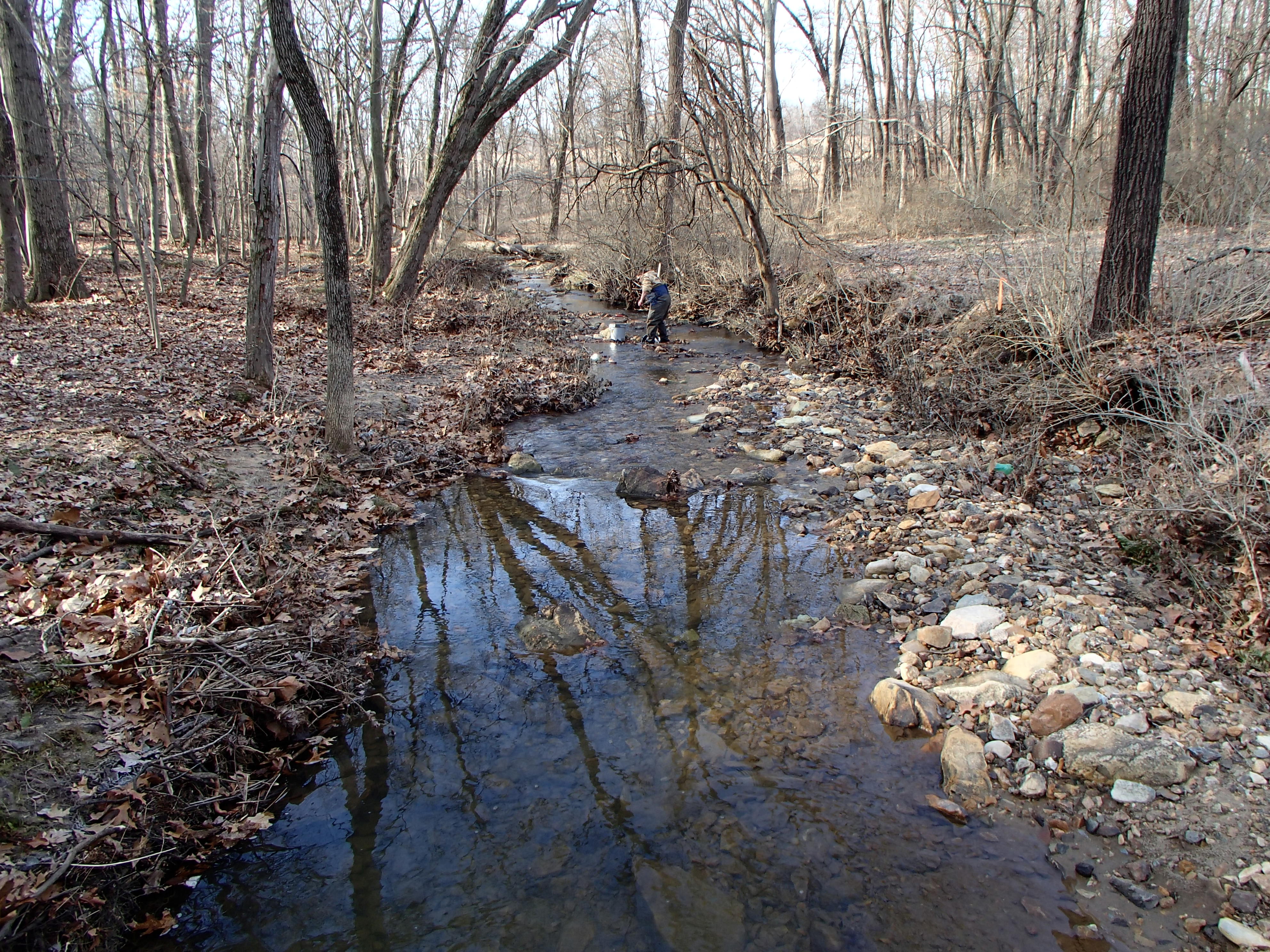 Field photo showing stream conditions at site SBPA-108-X-2016_midpoint looking downstream